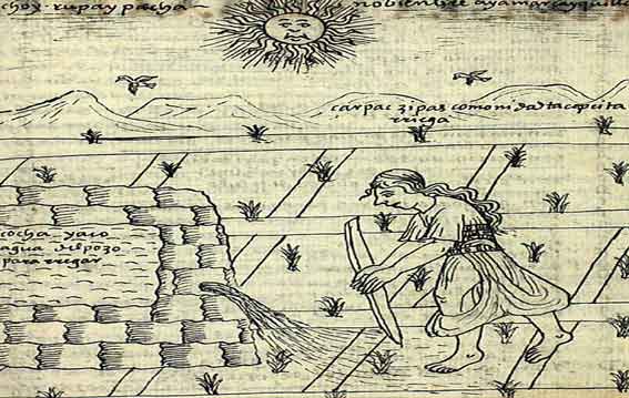 Sistema de regadío inca: Pozo inca. | Ilustración: Felipe Guamán Poma de Ayala (1615).