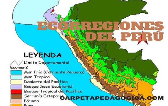Ecorregión Selva Baja