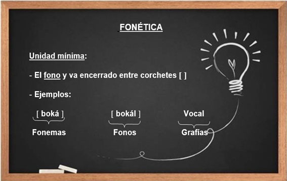 La fonética es la disciplina auxiliar de la lingüística encargada de estudiar los sonidos desde el punto de vista articulatorio (es decir, en función del habla). 