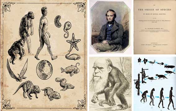 Teoría Evolucionista