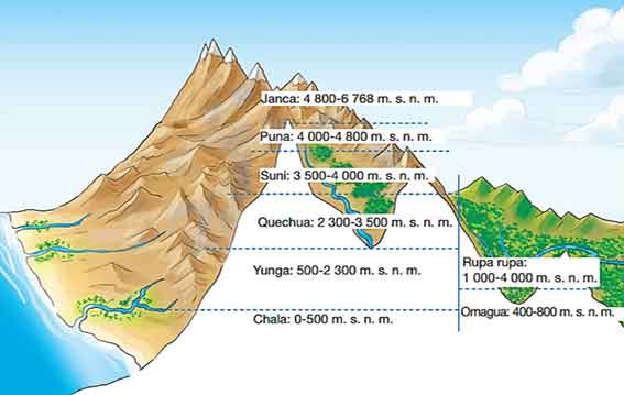 Ocho Regiones Naturales del Perú.